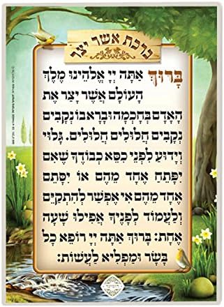 Judaica Place Asher Yatzar Laminated Card, 5" x 7.5"